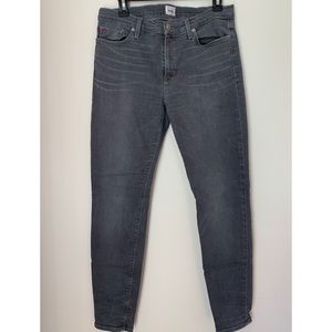 Hudson Jeans Gray Skinny Jeans
